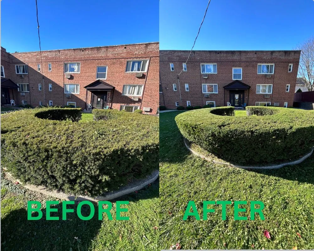 Affordable landscape installation with custom design in Parma, OH by Mav’s Mowing