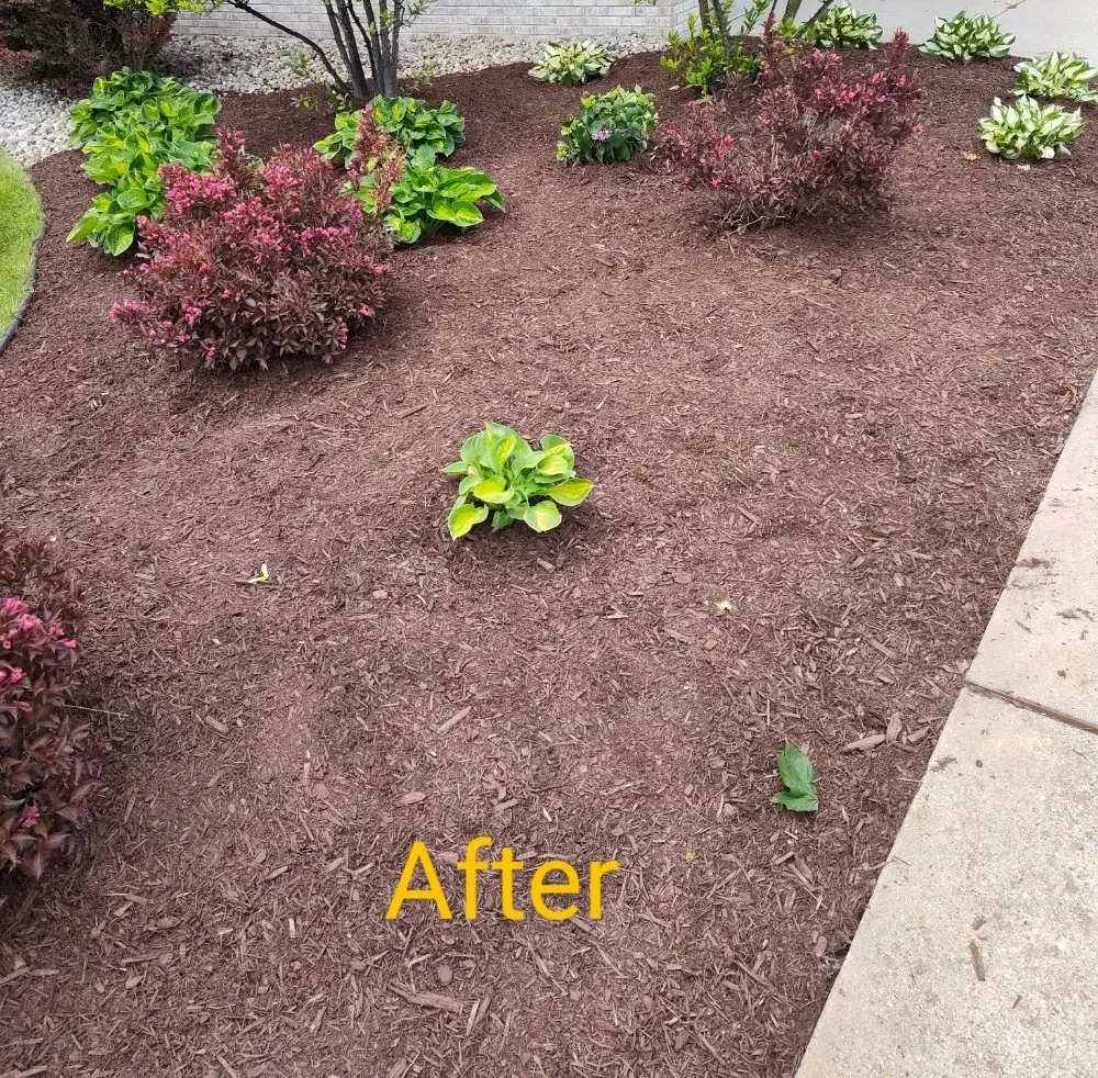 Local landscape installation in Saginaw, MI - Mawby Scapes