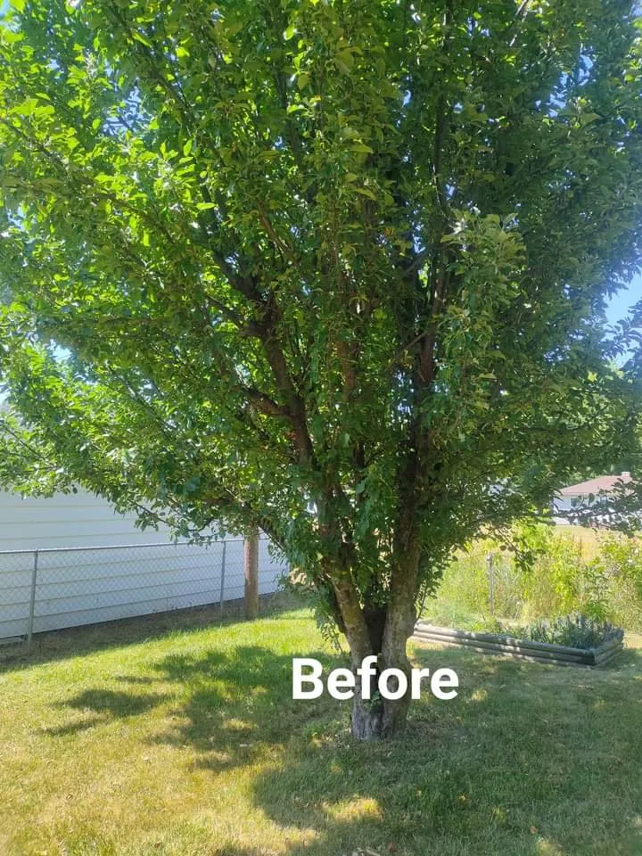 Local lawn mowing service in Saginaw, MI - Mawby Scapes