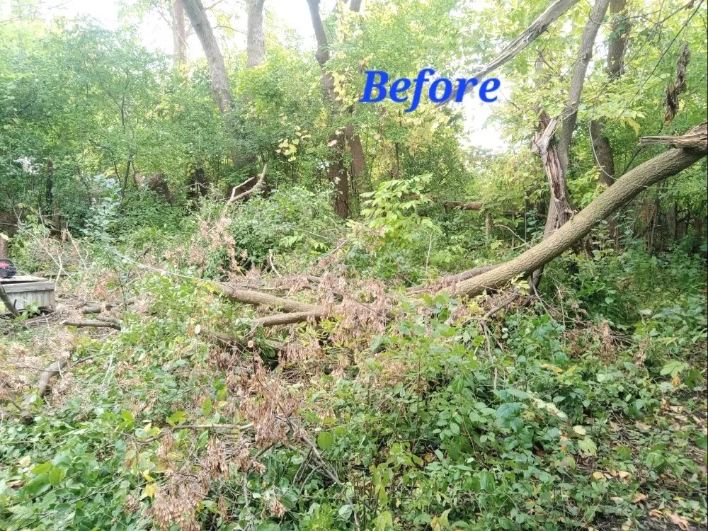 Affordable garden landscaping for residential properties in Saginaw, MI by Mawby Scapes