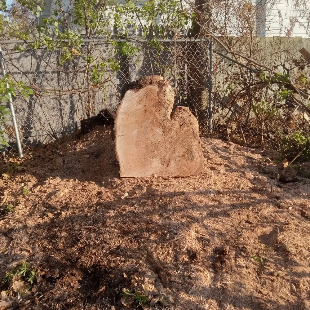 Affordable landscape design for outdoor upgrades across Saginaw, MI - Mawby Scapes