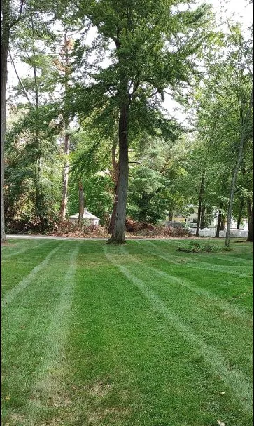 Professional landscape installation in Colchester, CT - Mawdsley's Landscaping
