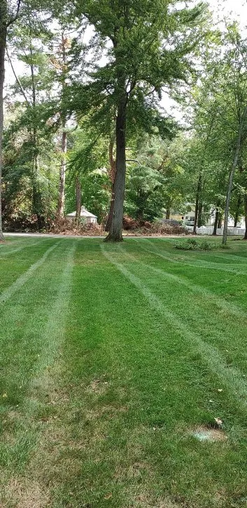 Top-rated landscaping services for year-round maintenance in Colchester, CT by Mawdsley's Landscaping