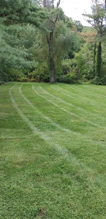 Local yard cleanup service for beautiful yards in Colchester, CT by Mawdsley's Landscaping