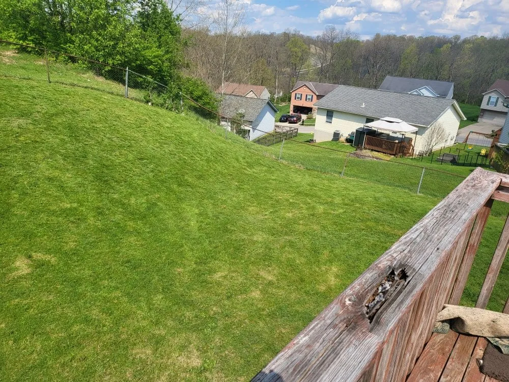 Top-rated yard maintenance for year-round maintenance across Covington, KY - Mawleyy-Mal's Lawncare