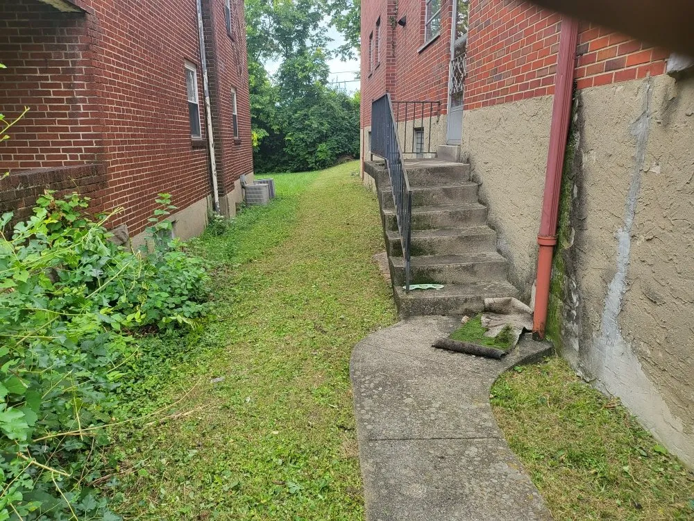 Professional landscape installation in Covington, KY - Mawleyy-Mal's Lawncare