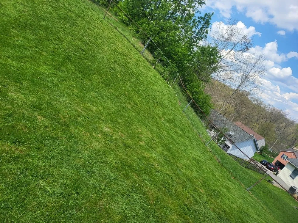 Reliable yard maintenance for homes across Covington, KY - Mawleyy-Mal's Lawncare