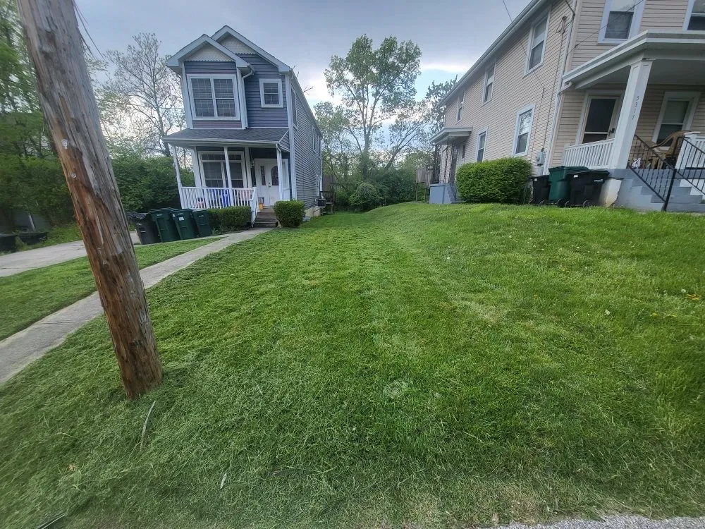 Professional yard maintenance in Covington, KY - Mawleyy-Mal's Lawncare