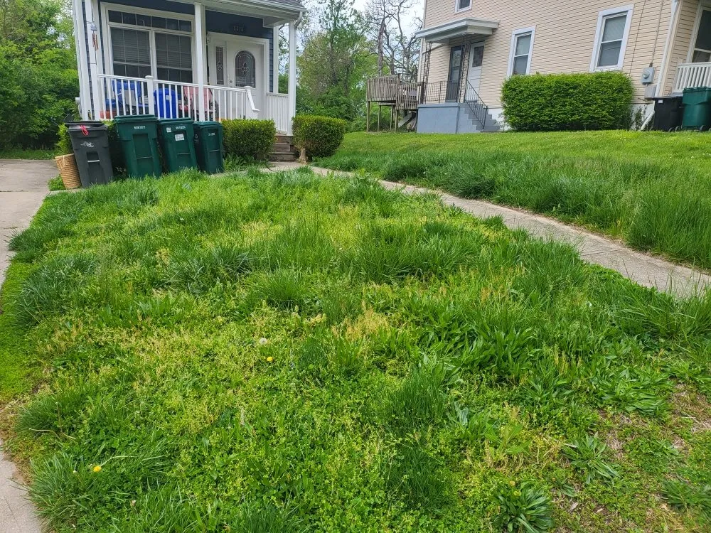 Trusted lawn care service in Covington, KY by Mawleyy-Mal's Lawncare