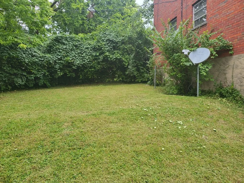 Affordable lawn care service experts serving Covington, KY - Mawleyy-Mal's Lawncare