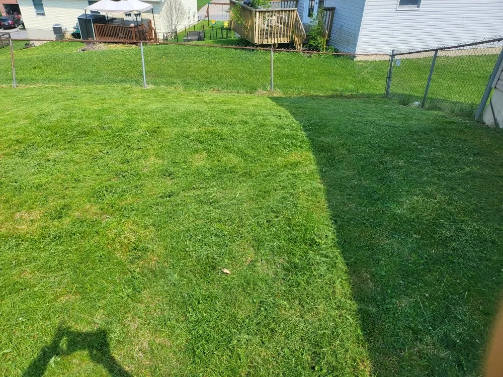 Top-rated yard cleanup service for year-round maintenance across Covington, KY - Mawleyy-Mal's Lawncare