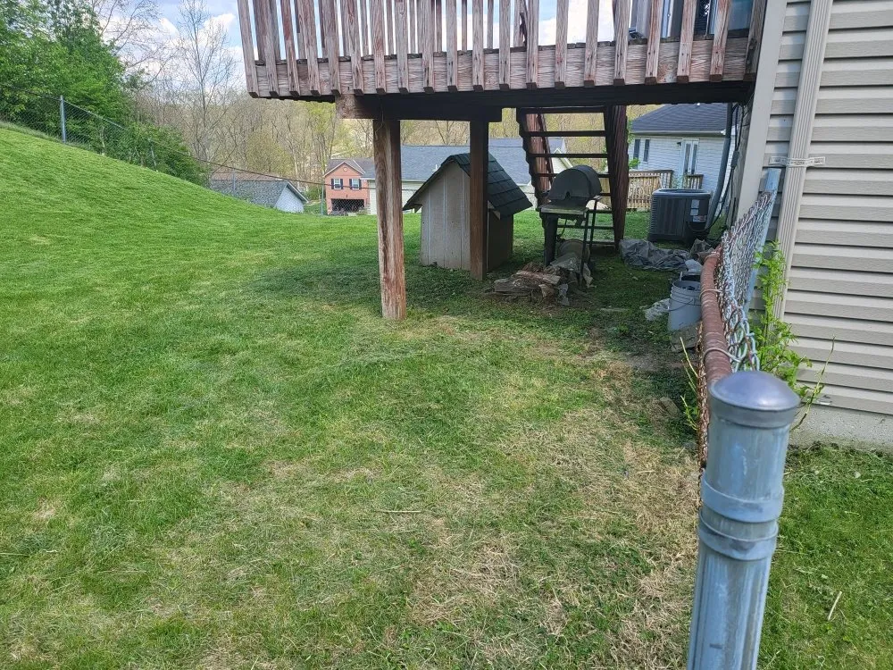 Affordable lawn mowing service experts serving Covington, KY - Mawleyy-Mal's Lawncare