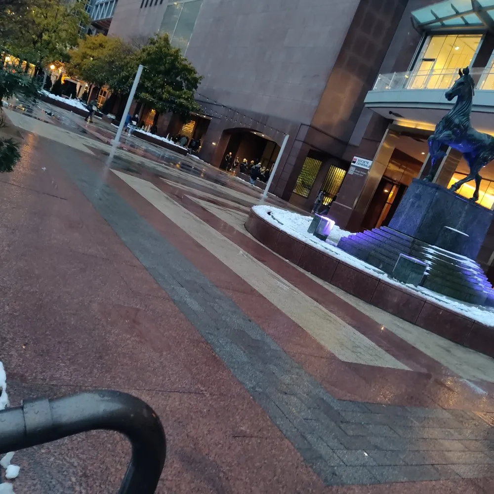 Custom yard cleanup service in Chicago, IL by Max 7 Express