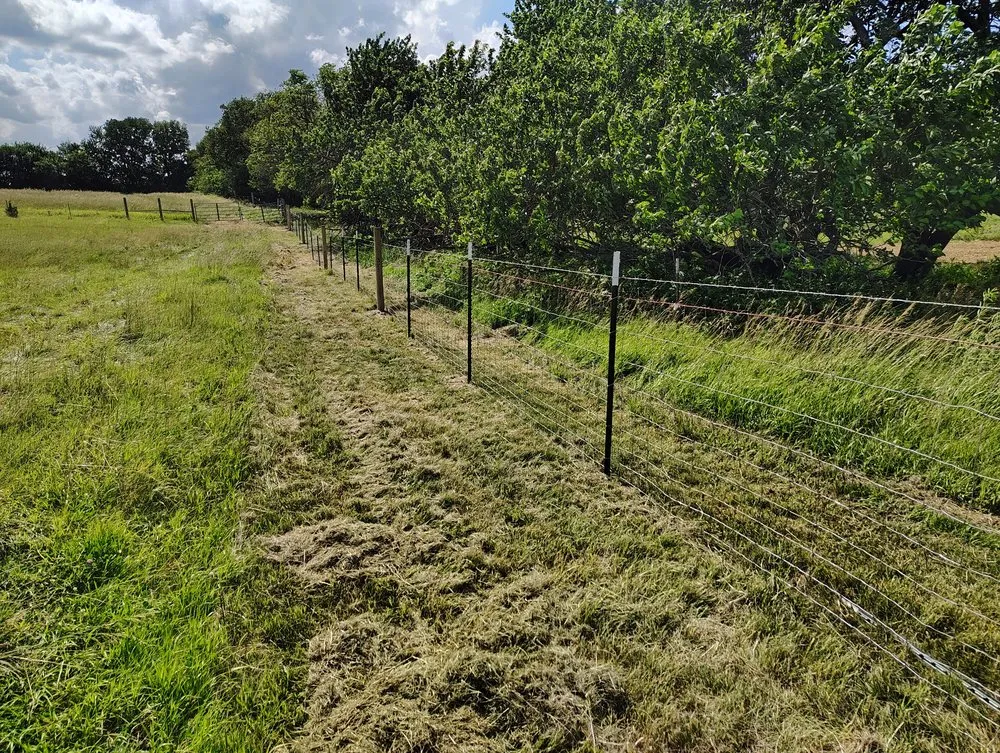 Affordable lawn care service in McLouth, KS by Max and Jill's Odd Jobs