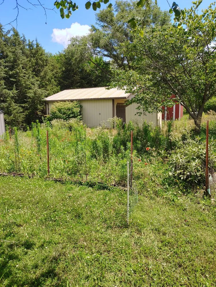 Top-rated yard maintenance in McLouth, KS - Max and Jill's Odd Jobs