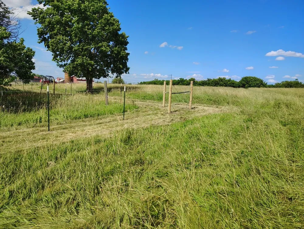 Trusted outdoor landscaping in McLouth, KS by Max and Jill's Odd Jobs
