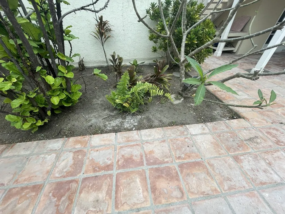 Local garden landscaping in Port Isabel, TX by Max Cantu’s Green And Clean Lawn Services