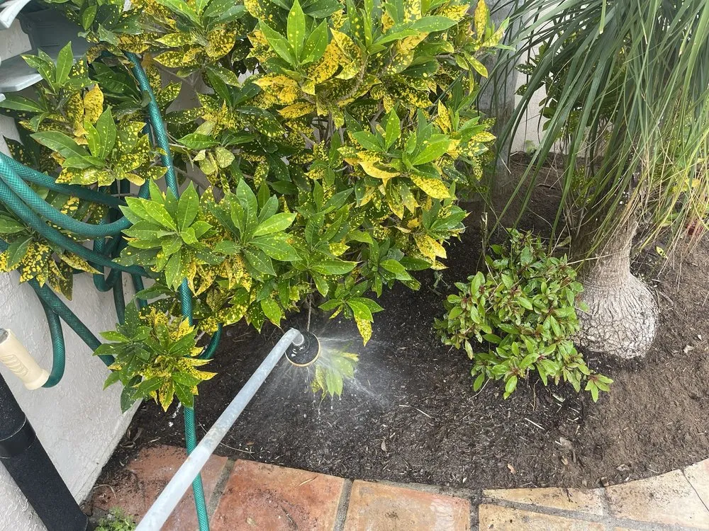 Top-rated landscaping services in Port Isabel, TX by Max Cantu’s Green And Clean Lawn Services