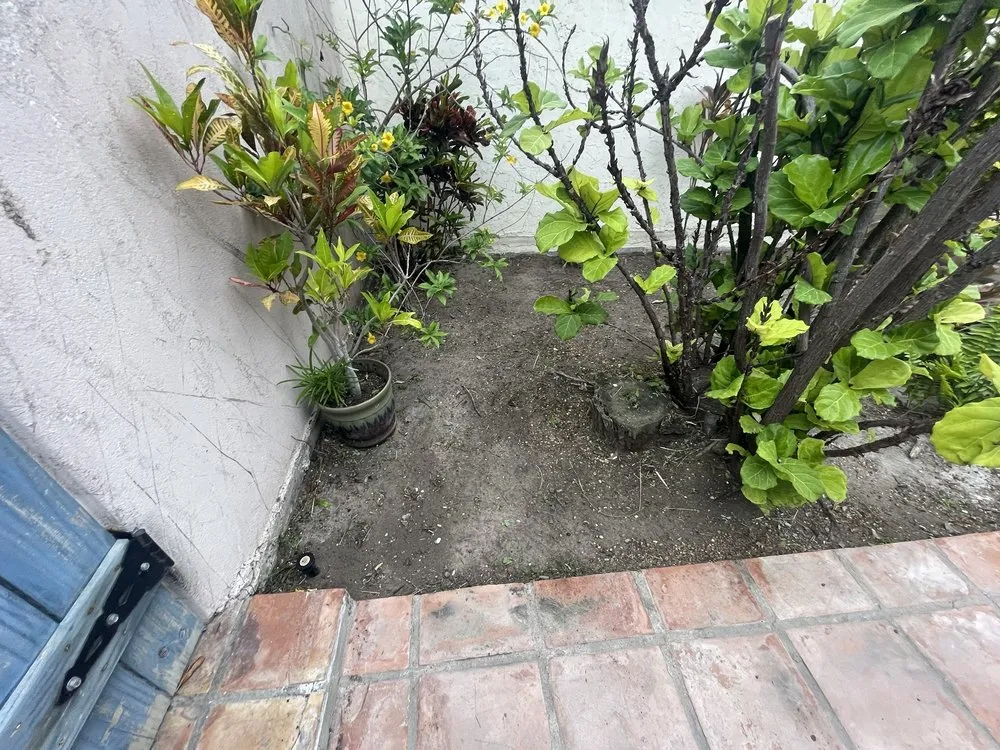 Top-rated outdoor landscaping for year-round maintenance across Port Isabel, TX - Max Cantu’s Green And Clean Lawn Services