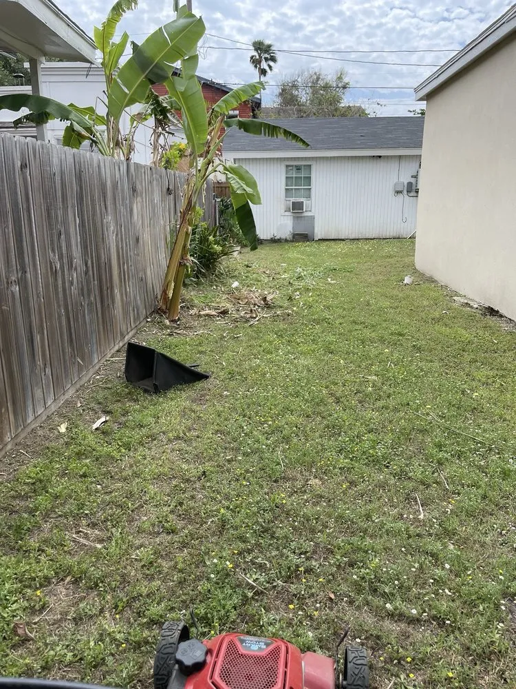 Top-rated lawn mowing service in Port Isabel, TX - Max Cantu’s Green And Clean Lawn Services