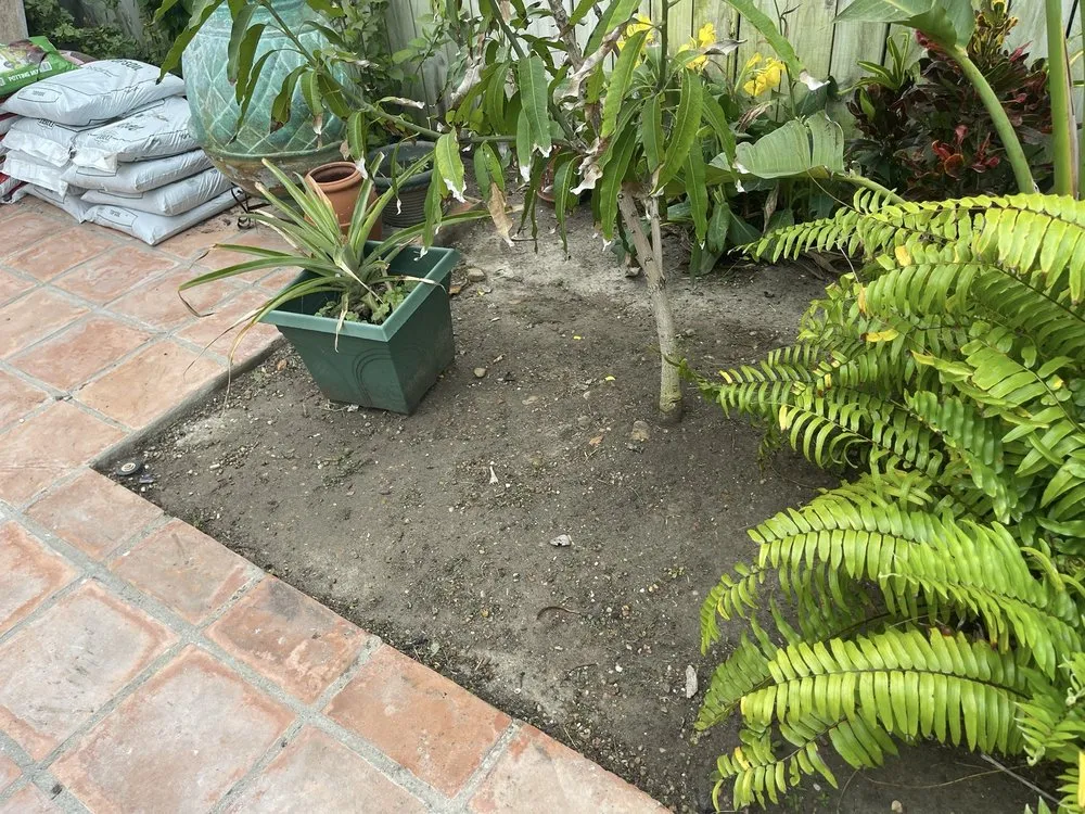 Local residential landscaping in Port Isabel, TX - Max Cantu’s Green And Clean Lawn Services