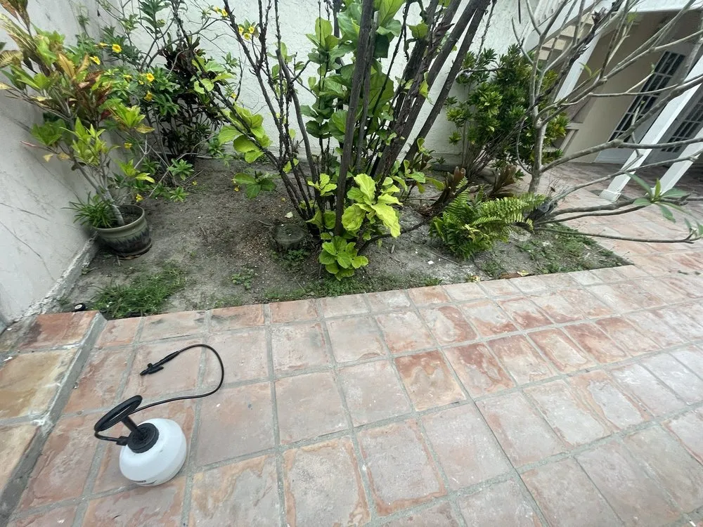 Expert outdoor landscaping for beautiful yards across Port Isabel, TX - Max Cantu’s Green And Clean Lawn Services