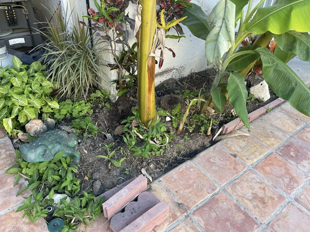 Top-rated lawn care service for beautiful yards across Port Isabel, TX - Max Cantu’s Green And Clean Lawn Services