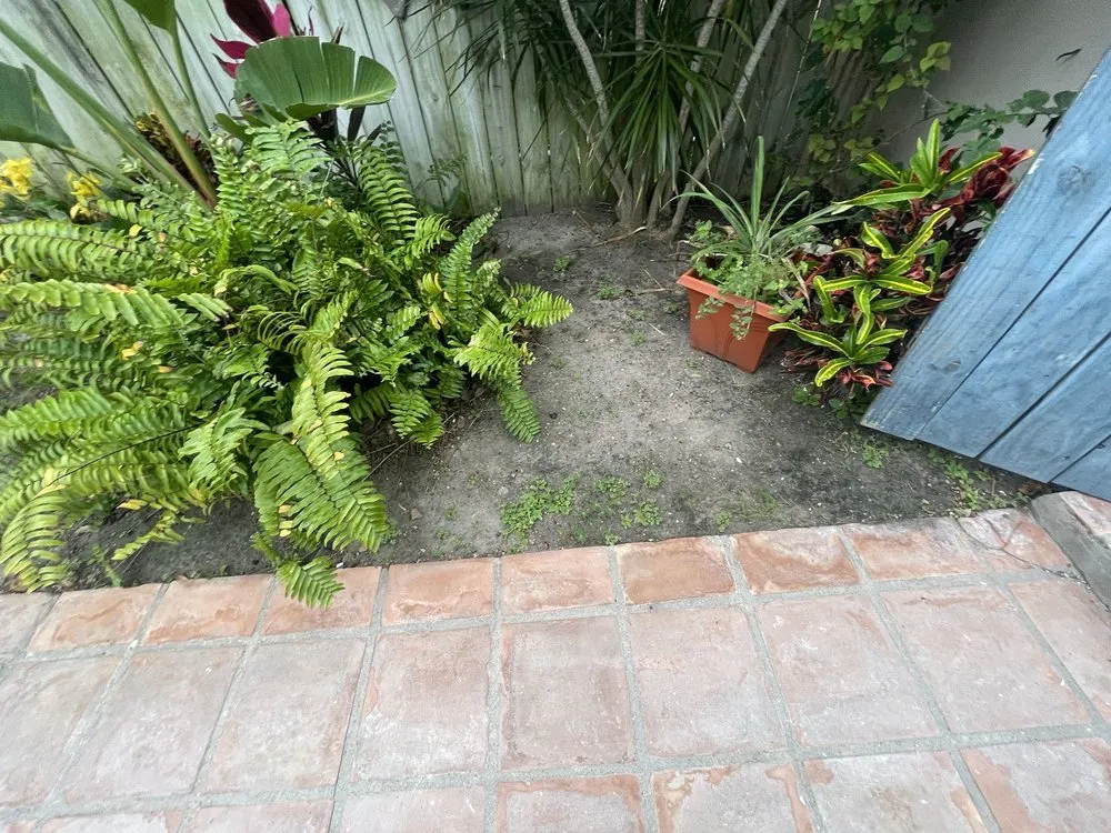 Trusted garden landscaping for beautiful yards in Port Isabel, TX by Max Cantu’s Green And Clean Lawn Services