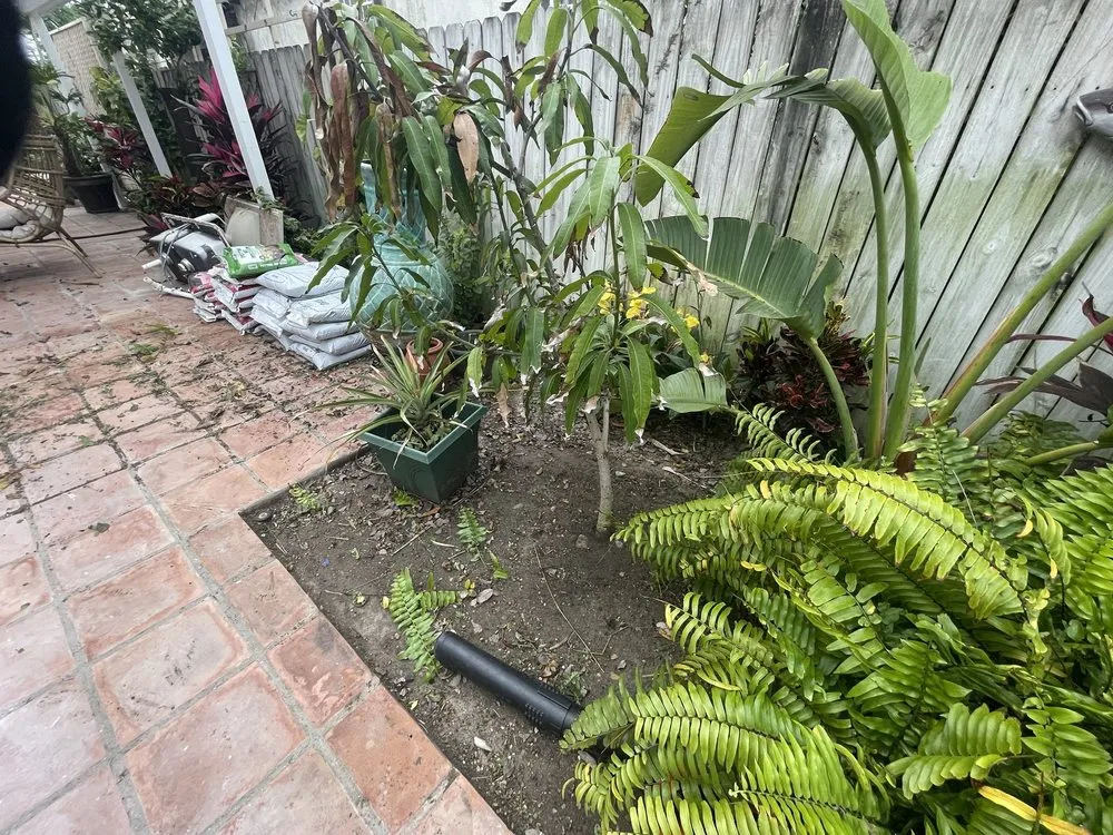 Expert lawn care service in Port Isabel, TX by Max Cantu’s Green And Clean Lawn Services