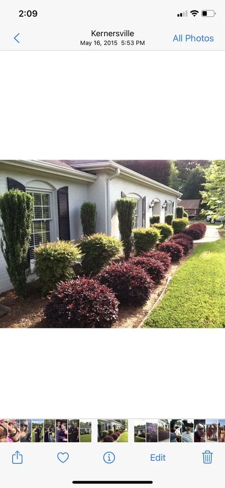 Affordable lawn care service in Kernersville, NC by Max Effort