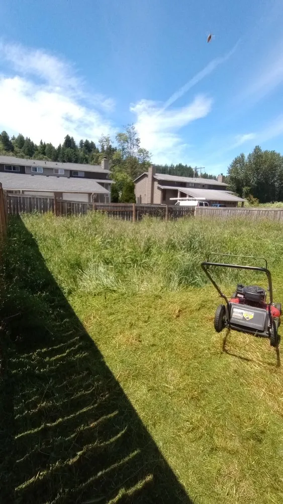 Trusted yard cleanup service with custom design in Tacoma, WA by Max Handyman