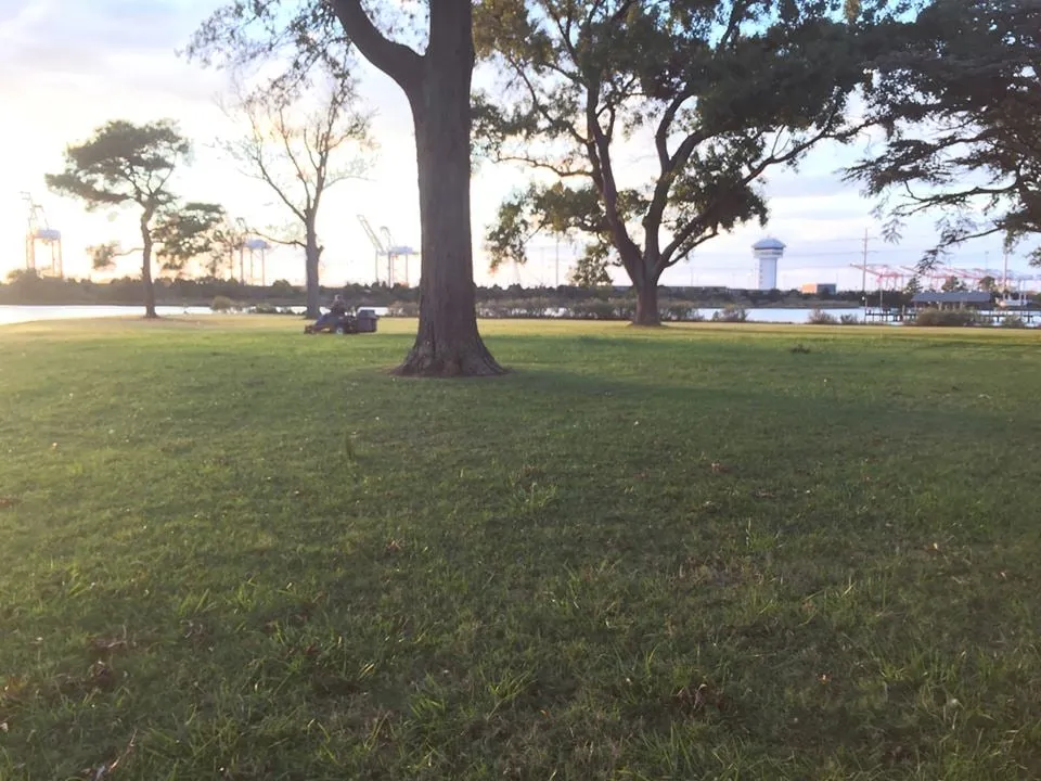 Expert outdoor landscaping near you in Norfolk, VA by Max Landscaping & ETC