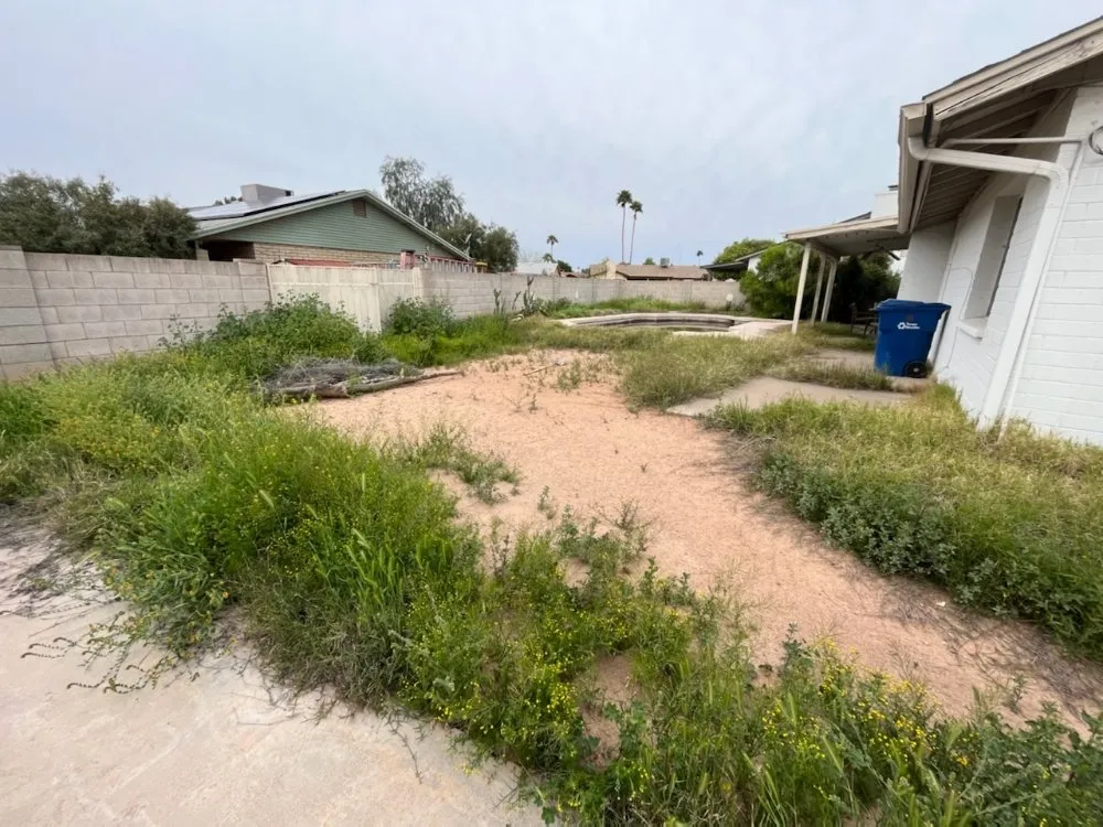 Custom yard cleanup service experts serving Mesa, AZ - Max Landscaping