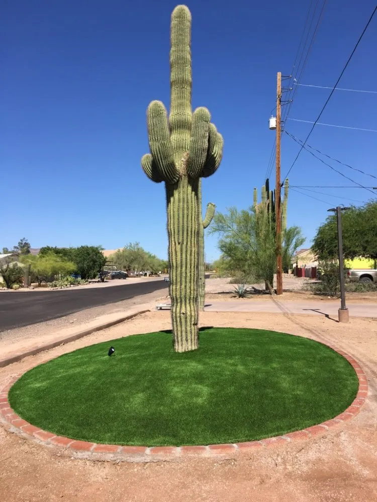Affordable yard maintenance with custom design across Mesa, AZ - Max Landscaping