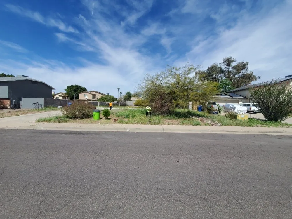Professional yard maintenance for year-round maintenance in Mesa, AZ by Max Landscaping