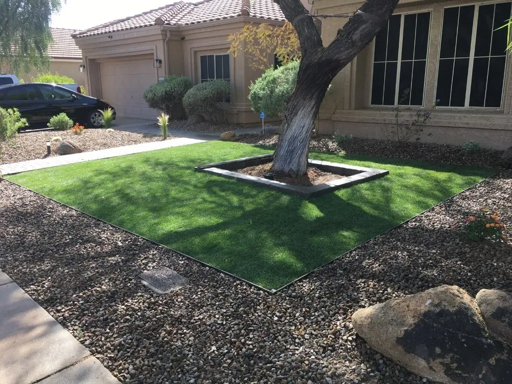 Reliable yard cleanup service in Mesa, AZ - Max Landscaping