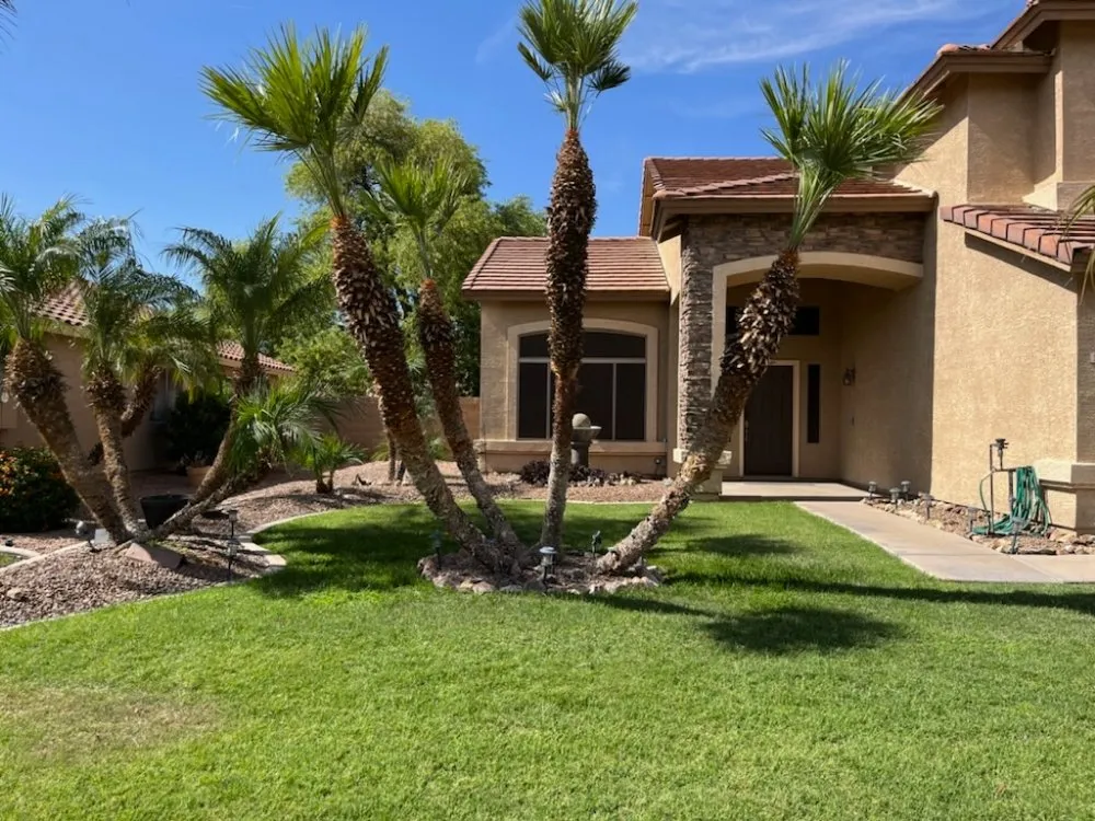 Custom landscaping services in Mesa, AZ - Max Landscaping