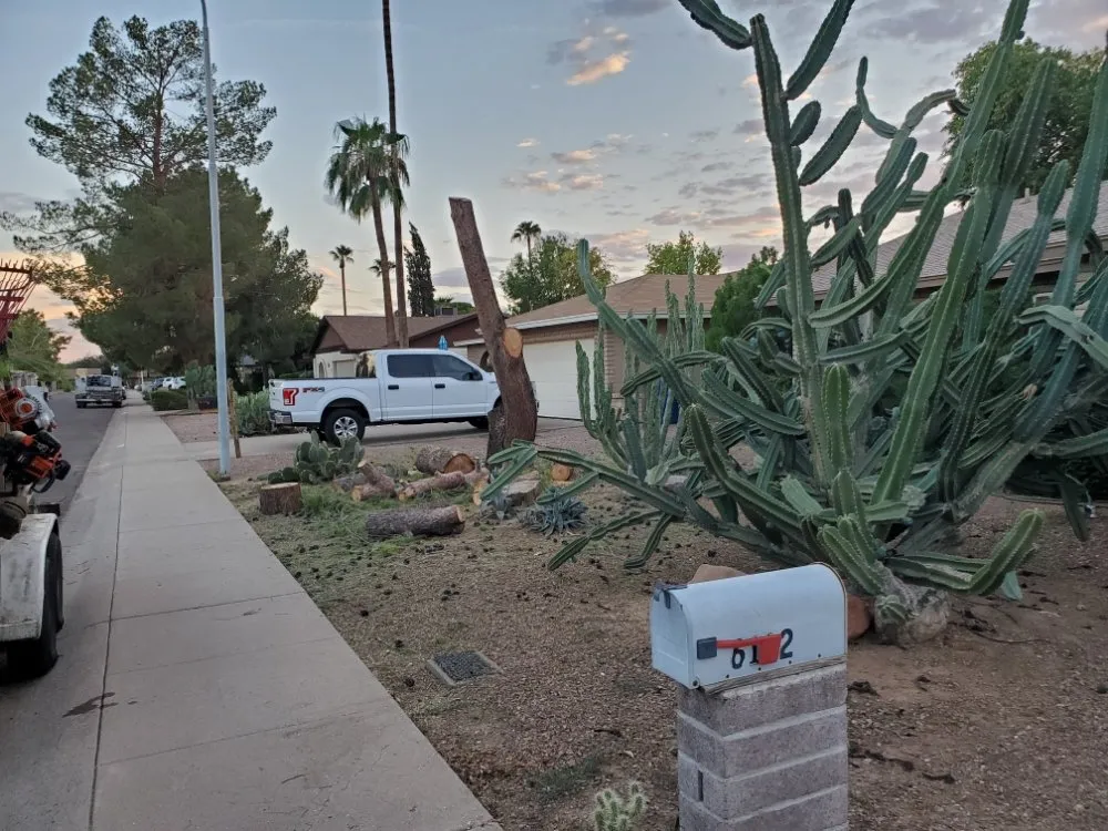 Custom lawn mowing service in Mesa, AZ - Max Landscaping