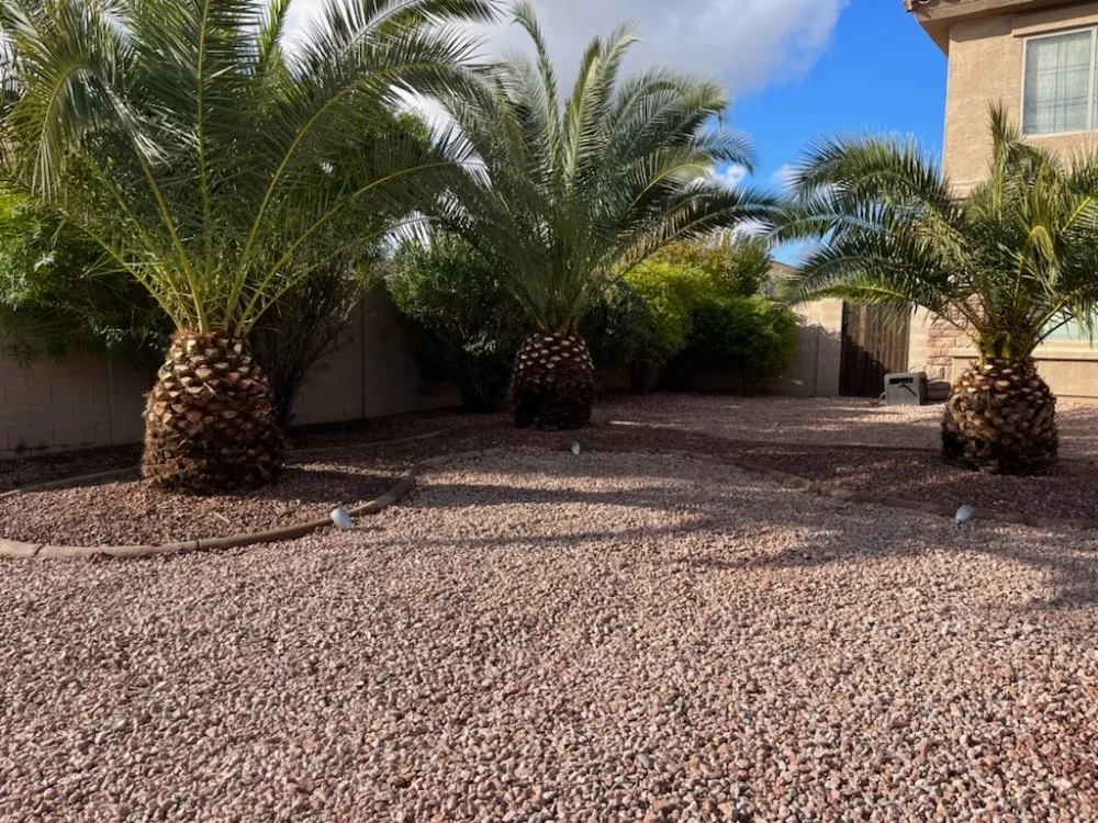 Trusted residential landscaping for homes in Mesa, AZ by Max Landscaping