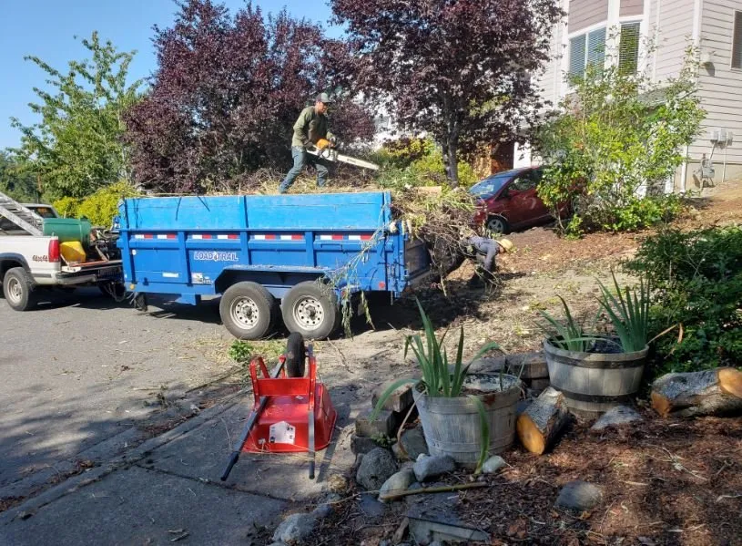 Affordable lawn care service in Modesto, CA - Max Landscaping