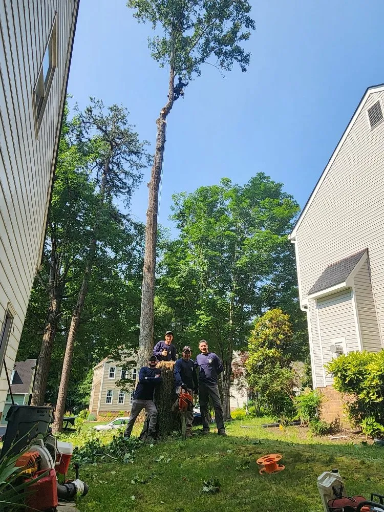 Affordable landscape design experts serving Richmond, VA - Max Landscaping