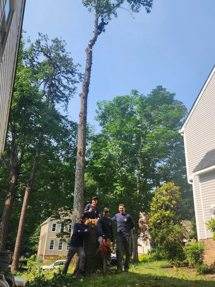 Trusted lawn mowing service for year-round maintenance across Richmond, VA - Max Landscaping