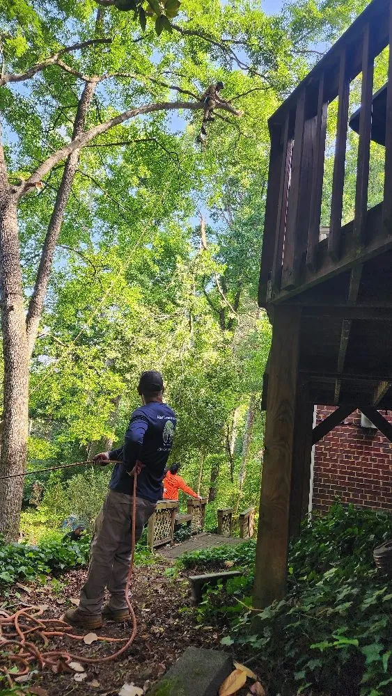 Expert yard maintenance near you across Richmond, VA - Max Landscaping