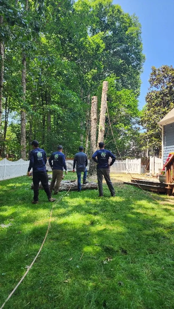 Custom landscape design in Richmond, VA - Max Landscaping