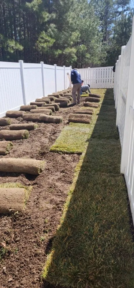 Expert yard cleanup service experts serving Richmond, VA - Max Landscaping