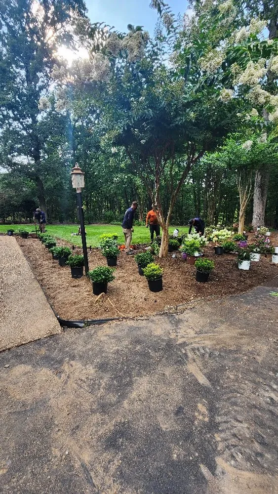 Local lawn mowing service for year-round maintenance across Richmond, VA - Max Landscaping