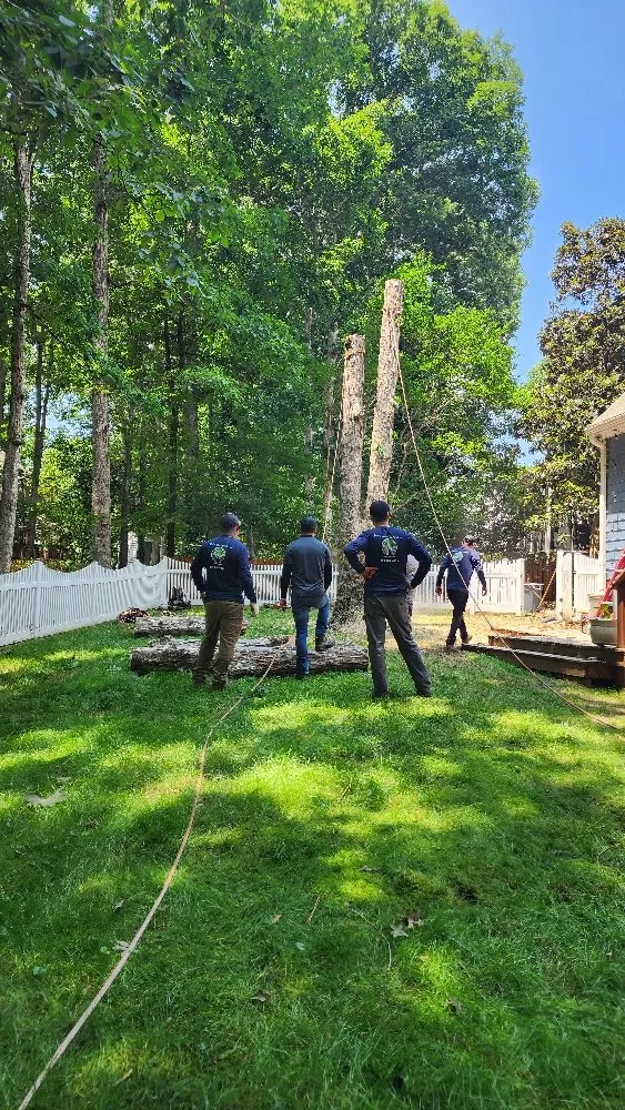 Reliable landscape installation experts serving Richmond, VA - Max Landscaping