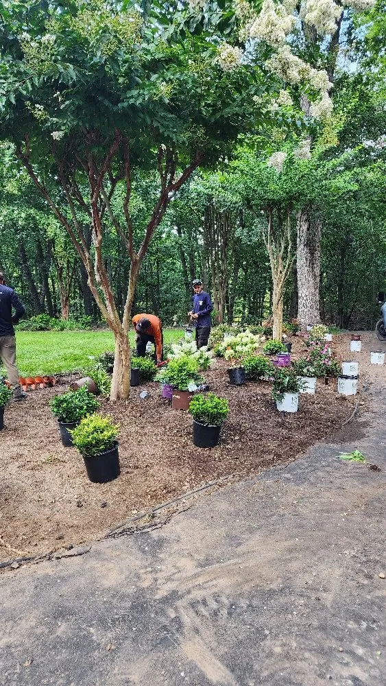 Local residential landscaping in Richmond, VA - Max Landscaping