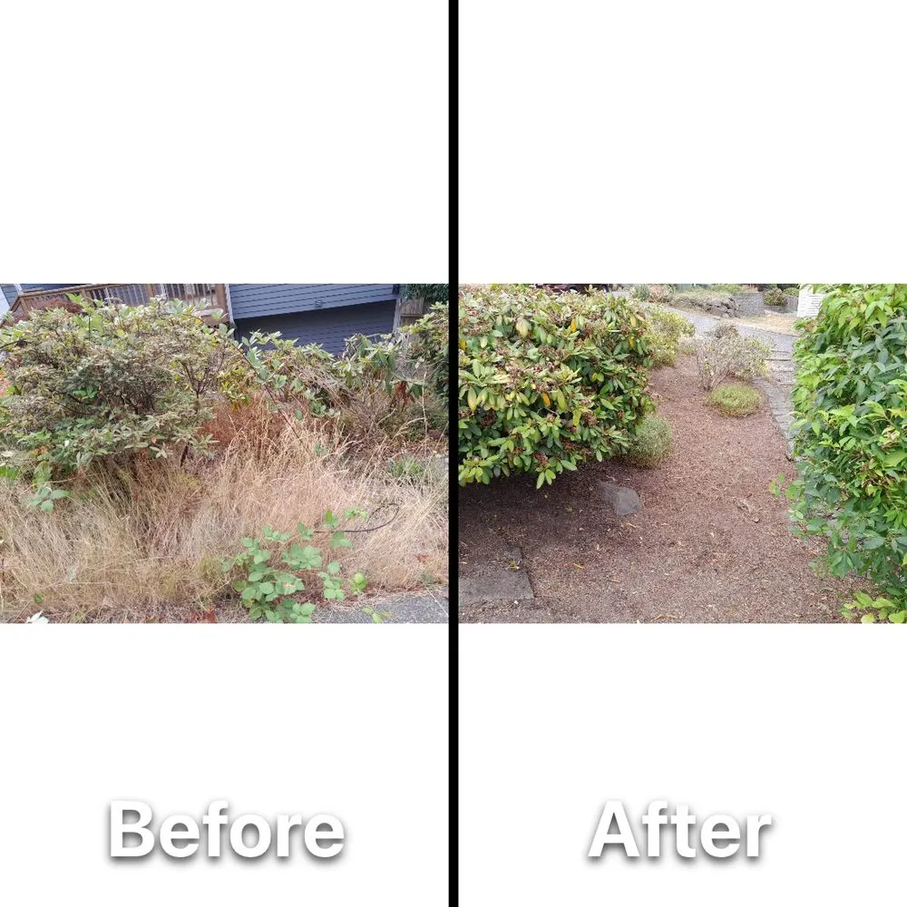 Custom residential landscaping experts serving Newcastle, WA - Max Landscaping Service