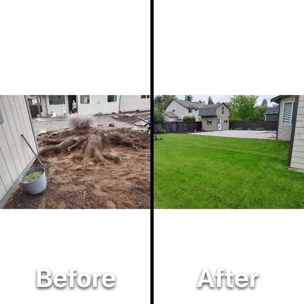 Affordable lawn care service for residential properties across Newcastle, WA - Max Landscaping Service